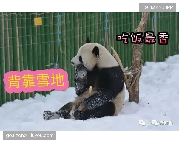 刘洋家的狗吃的都比我一个月工资还贵